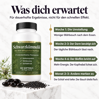 Was dich erwartet: Verlauf von Woche 1 bis Monat 3