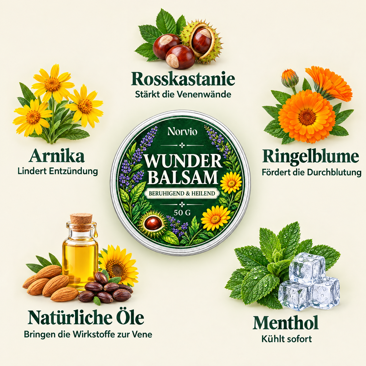 Inhaltsstoffe des Norvio Wunderbalsams: Rosskastanie, Arnika, Ringelblume, natürliche Öle, Menthol